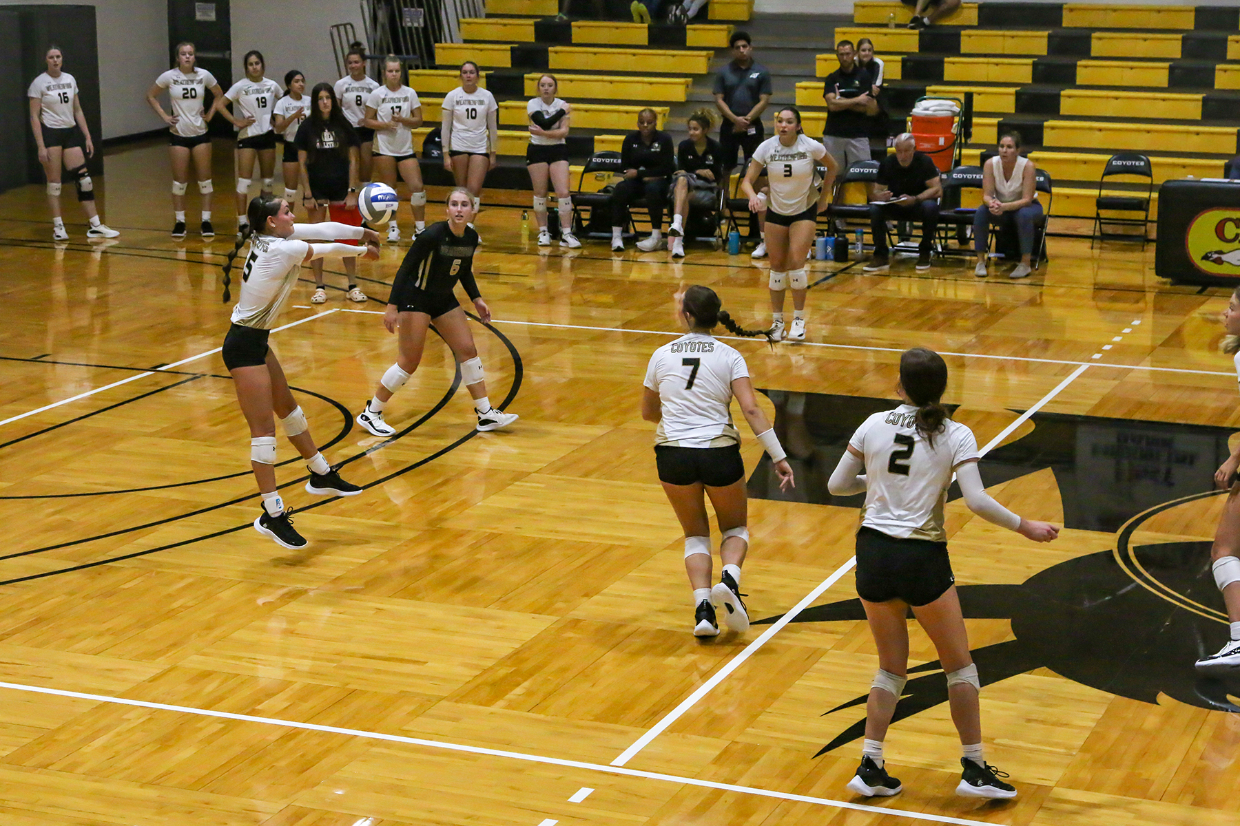 Volleyball sweeps Hill, leads conference